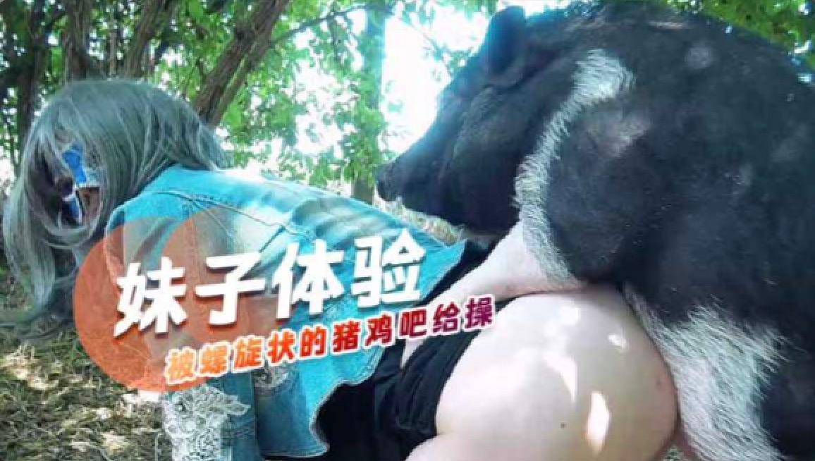 体验被螺旋状的小小猪鸡巴给操