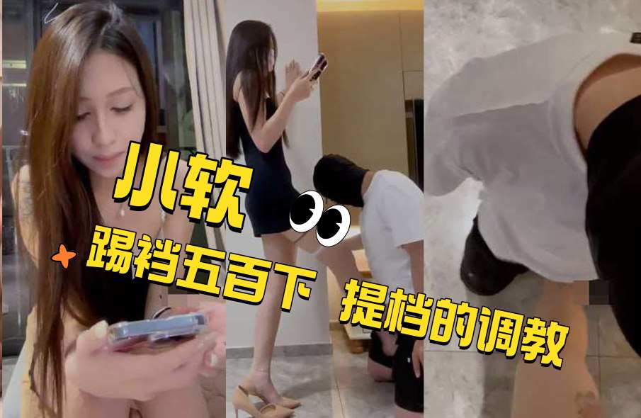 小软 踢裆五百下 提档的调教