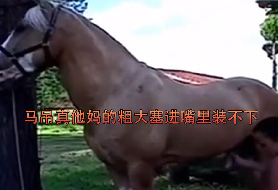 【人兽】马吊真他妈的粗大塞进嘴里装不下