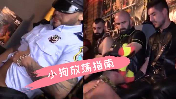 小狗放荡指南