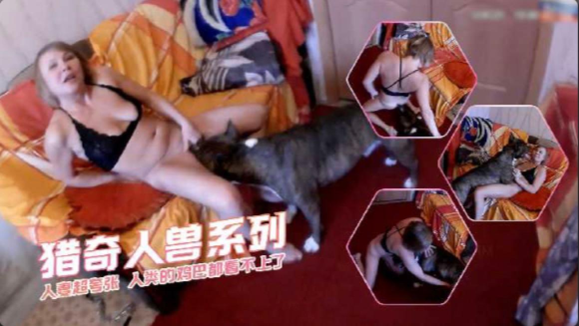 人妻超夸张人类的鸡巴都看不上了