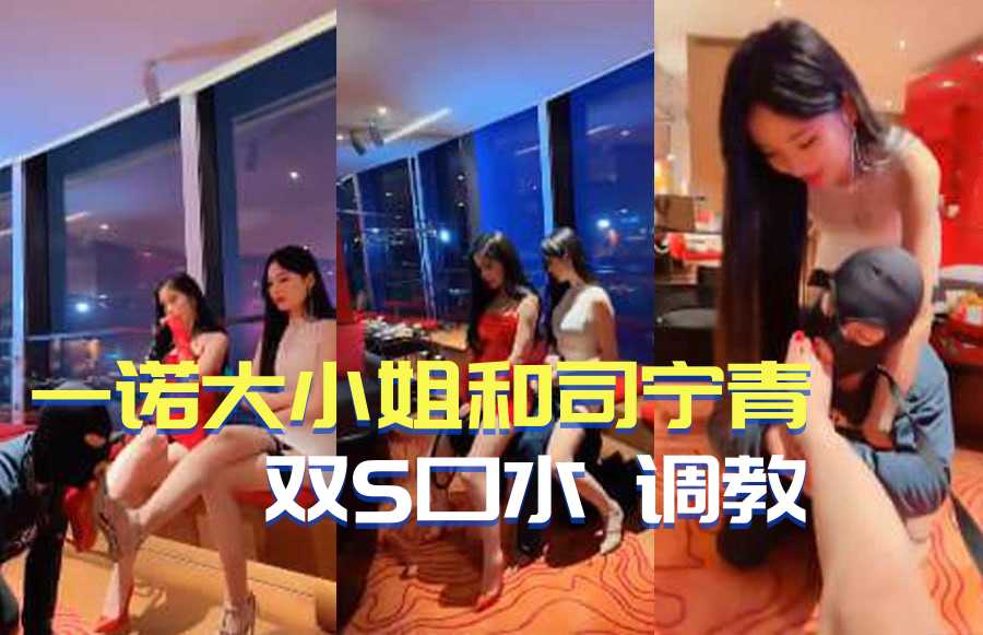 一诺大小姐和司宁青 双S口水 调教