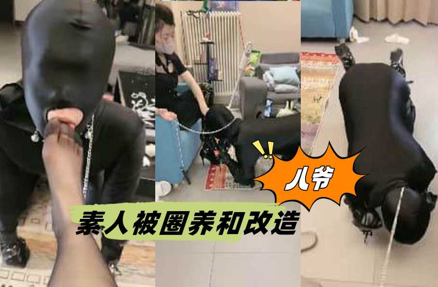 八爷 素人被圈养和改造